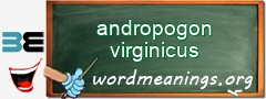 WordMeaning blackboard for andropogon virginicus